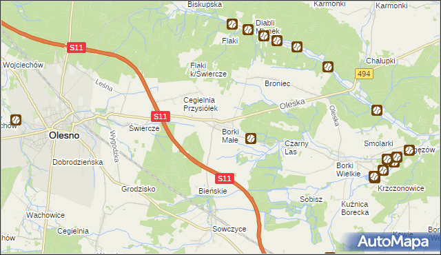 mapa Borki Małe gmina Olesno, Borki Małe gmina Olesno na mapie Targeo