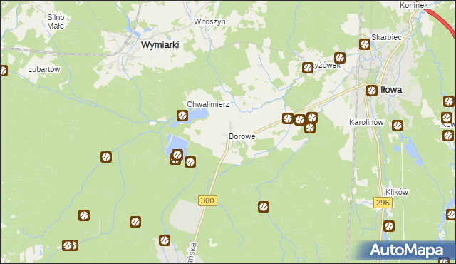 mapa Borowe gmina Iłowa, Borowe gmina Iłowa na mapie Targeo