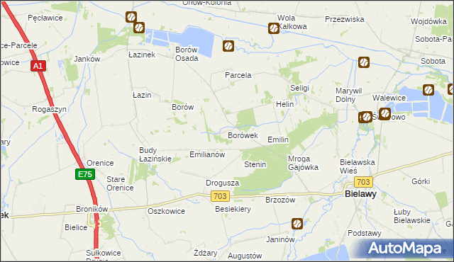 mapa Borówek gmina Bielawy, Borówek gmina Bielawy na mapie Targeo