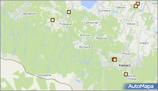 mapa Borowice gmina Podgórzyn, Borowice gmina Podgórzyn na mapie Targeo