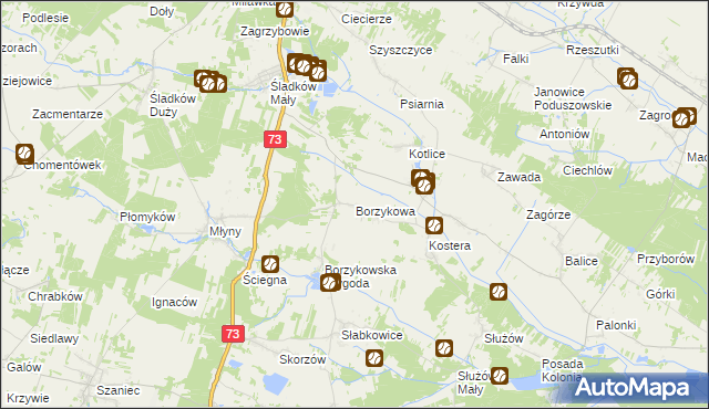 mapa Borzykowa gmina Chmielnik, Borzykowa gmina Chmielnik na mapie Targeo