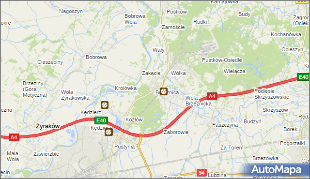 mapa Brzeźnica gmina Dębica, Brzeźnica gmina Dębica na mapie Targeo