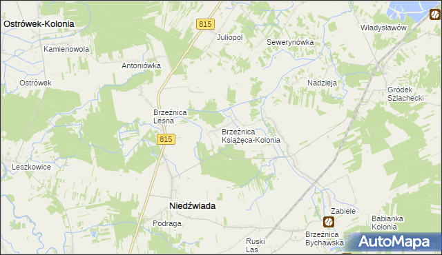 mapa Brzeźnica Książęca-Kolonia, Brzeźnica Książęca-Kolonia na mapie Targeo