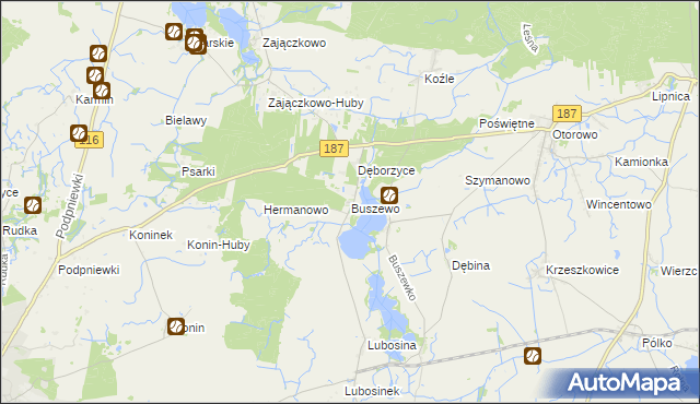 mapa Buszewo gmina Pniewy, Buszewo gmina Pniewy na mapie Targeo