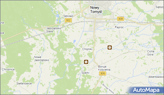 mapa Chojniki gmina Nowy Tomyśl, Chojniki gmina Nowy Tomyśl na mapie Targeo