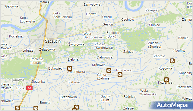 mapa Dąbrowica gmina Szczucin, Dąbrowica gmina Szczucin na mapie Targeo