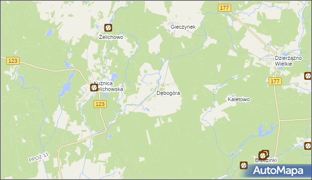 mapa Dębogóra gmina Wieleń, Dębogóra gmina Wieleń na mapie Targeo