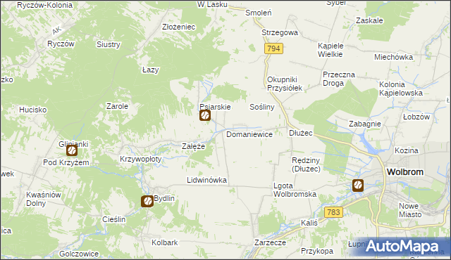 mapa Domaniewice gmina Wolbrom, Domaniewice gmina Wolbrom na mapie Targeo