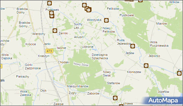 mapa Dzierzązna Szlachecka, Dzierzązna Szlachecka na mapie Targeo