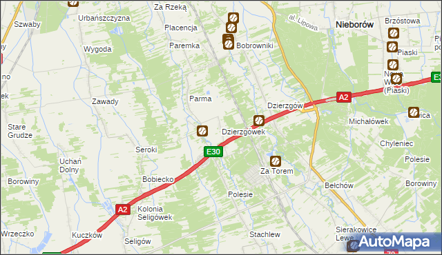 mapa Dzierzgówek gmina Nieborów, Dzierzgówek gmina Nieborów na mapie Targeo