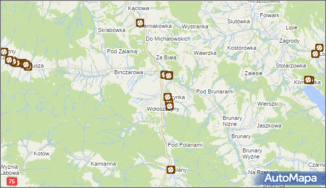 mapa Florynka, Florynka na mapie Targeo