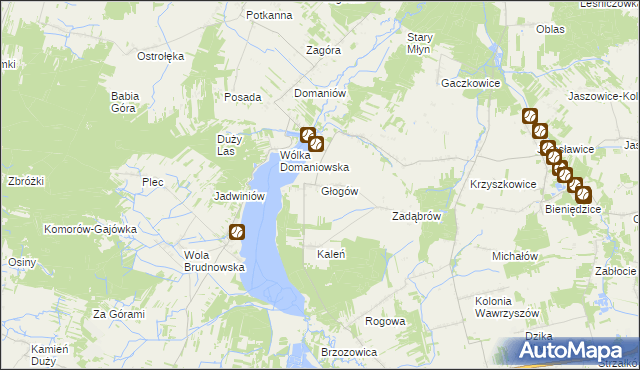 mapa Głogów gmina Wieniawa, Głogów gmina Wieniawa na mapie Targeo