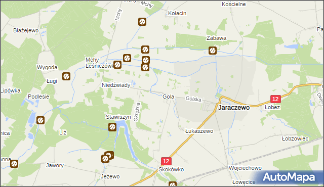 mapa Gola gmina Jaraczewo, Gola gmina Jaraczewo na mapie Targeo