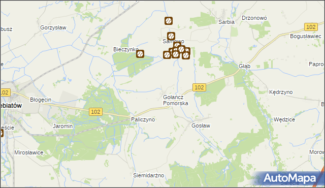 mapa Gołańcz Pomorska, Gołańcz Pomorska na mapie Targeo