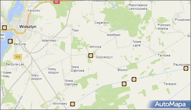 mapa Gościeszyn gmina Wolsztyn, Gościeszyn gmina Wolsztyn na mapie Targeo