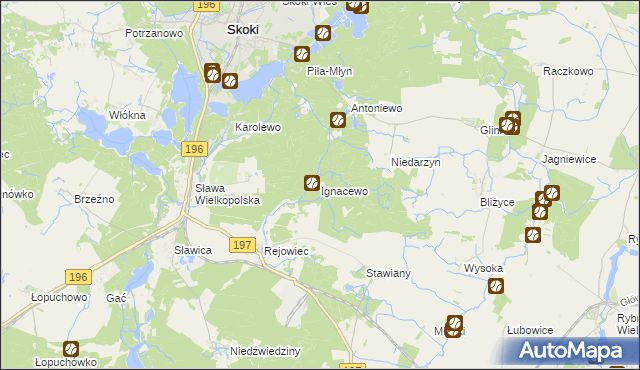 mapa Ignacewo gmina Skoki, Ignacewo gmina Skoki na mapie Targeo