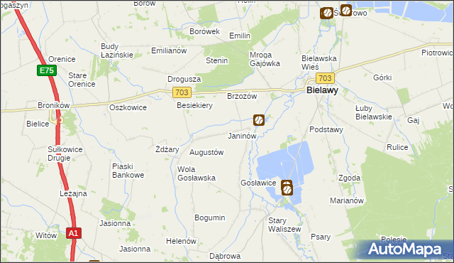 mapa Janinów gmina Bielawy, Janinów gmina Bielawy na mapie Targeo
