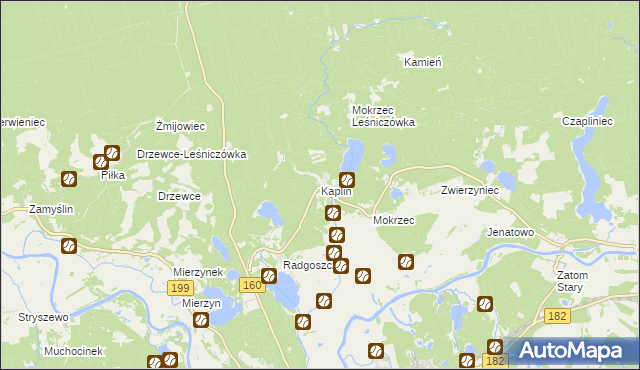 mapa Kaplin gmina Międzychód, Kaplin gmina Międzychód na mapie Targeo