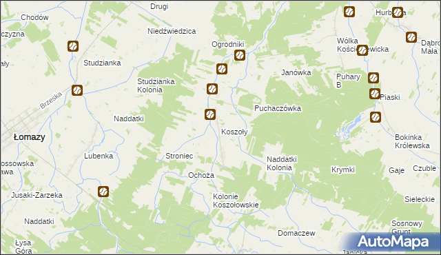 mapa Koszoły, Koszoły na mapie Targeo