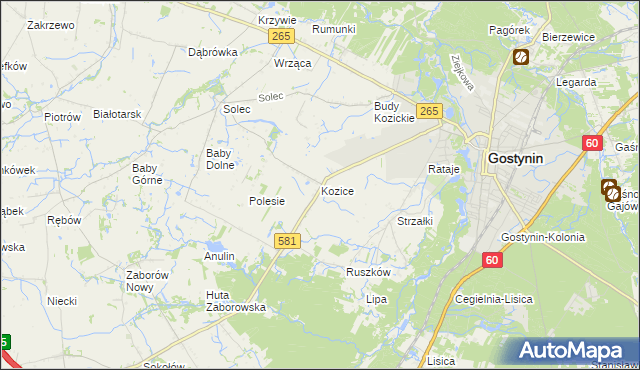 mapa Kozice gmina Gostynin, Kozice gmina Gostynin na mapie Targeo