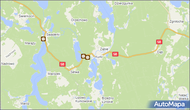 mapa Kurki gmina Olsztynek, Kurki gmina Olsztynek na mapie Targeo