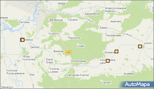 mapa Lisiaki gmina Pyzdry, Lisiaki gmina Pyzdry na mapie Targeo