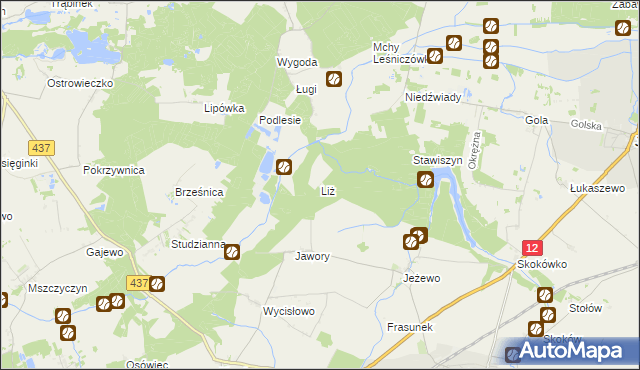 mapa Liż, Liż na mapie Targeo