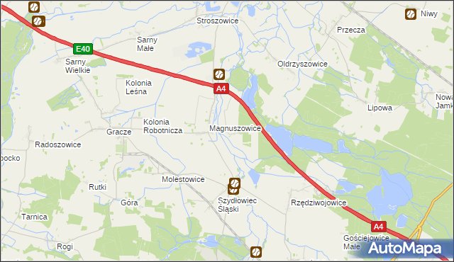 mapa Magnuszowiczki, Magnuszowiczki na mapie Targeo