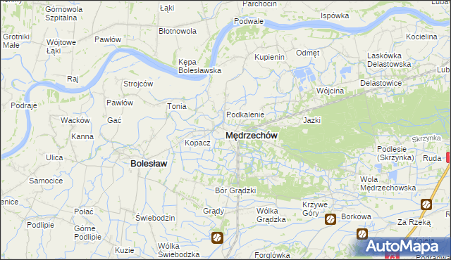 mapa Mędrzechów, Mędrzechów na mapie Targeo