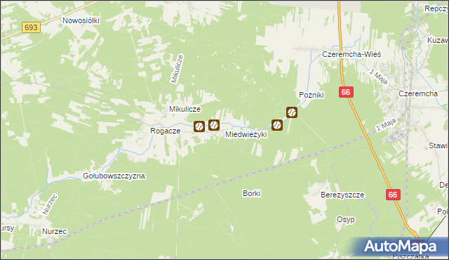 mapa Miedwieżyki, Miedwieżyki na mapie Targeo