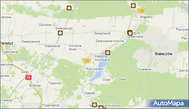 mapa Miedzna Murowana, Miedzna Murowana na mapie Targeo