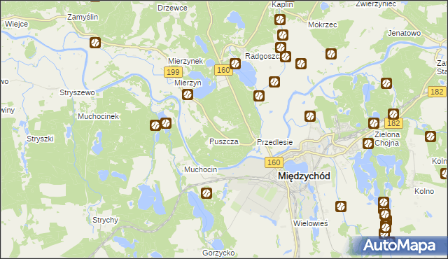 mapa Międzychód powiat międzychodzki, Międzychód powiat międzychodzki na mapie Targeo