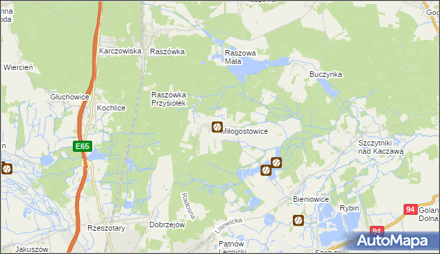 mapa Miłogostowice, Miłogostowice na mapie Targeo