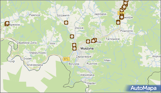 mapa Muszyna, Muszyna na mapie Targeo