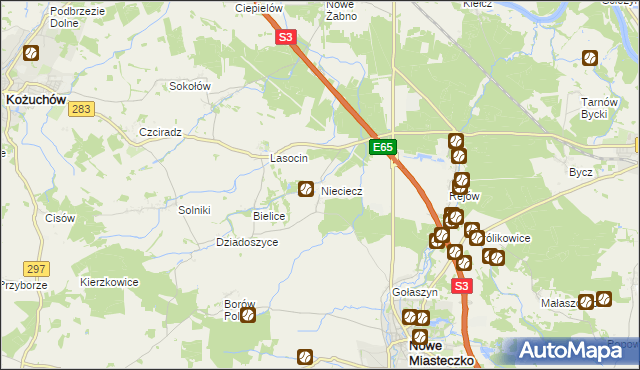 mapa Nieciecz gmina Nowe Miasteczko, Nieciecz gmina Nowe Miasteczko na mapie Targeo