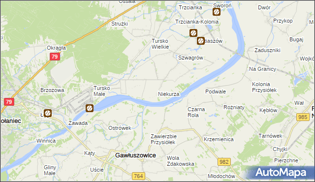 mapa Niekurza, Niekurza na mapie Targeo