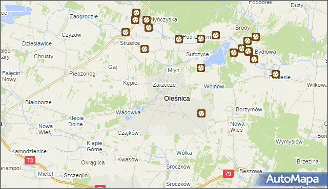 mapa Oleśnica powiat staszowski, Oleśnica powiat staszowski na mapie Targeo