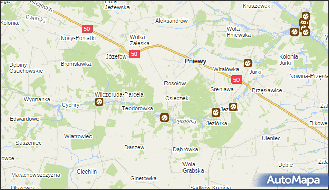 mapa Osieczek gmina Pniewy, Osieczek gmina Pniewy na mapie Targeo