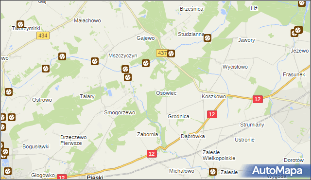 mapa Osówiec gmina Borek Wielkopolski, Osówiec gmina Borek Wielkopolski na mapie Targeo