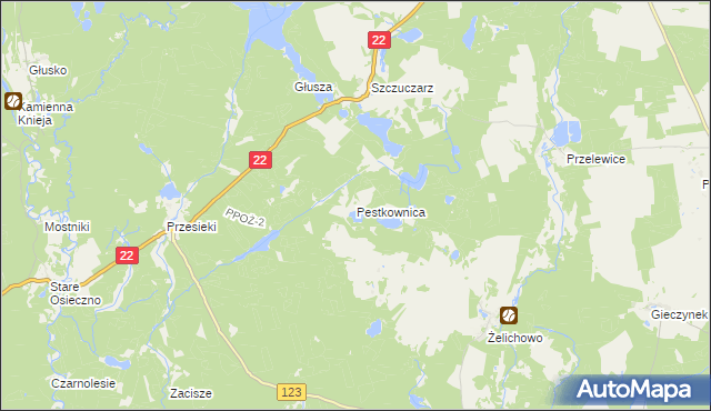 mapa Pestkownica, Pestkownica na mapie Targeo