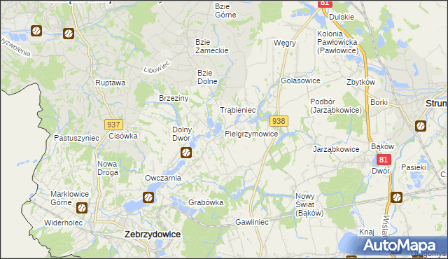 mapa Pielgrzymowice gmina Pawłowice, Pielgrzymowice gmina Pawłowice na mapie Targeo