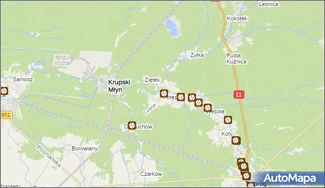 mapa Potępa, Potępa na mapie Targeo