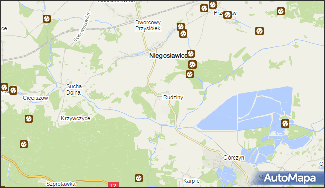 mapa Rudziny gmina Niegosławice, Rudziny gmina Niegosławice na mapie Targeo