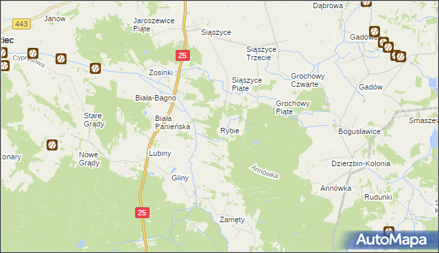 mapa Rybie gmina Rychwał, Rybie gmina Rychwał na mapie Targeo