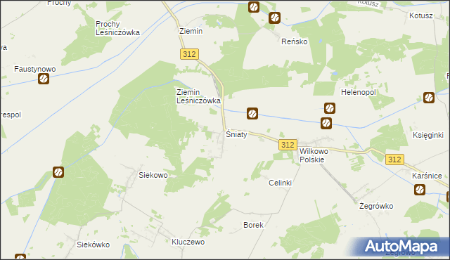 mapa Śniaty gmina Wielichowo, Śniaty gmina Wielichowo na mapie Targeo