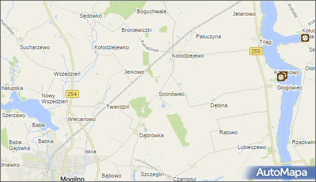 mapa Sosnowca, Sosnówiec na mapie Targeo