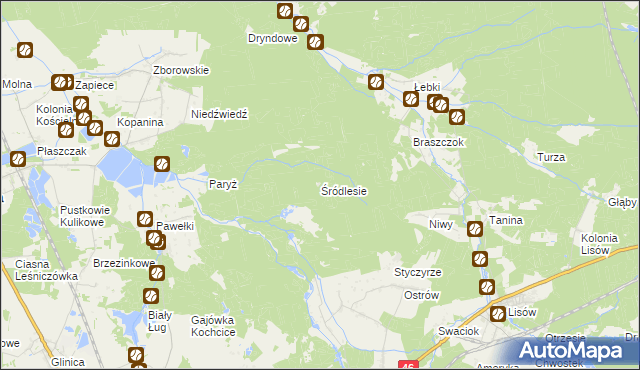 mapa Śródlesie gmina Kochanowice, Śródlesie gmina Kochanowice na mapie Targeo