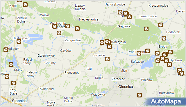 mapa Strzelce gmina Oleśnica, Strzelce gmina Oleśnica na mapie Targeo