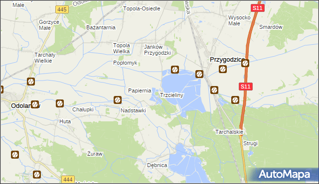 mapa Trzcieliny gmina Przygodzice, Trzcieliny gmina Przygodzice na mapie Targeo