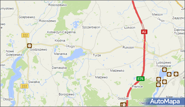 mapa Turze gmina Tczew, Turze gmina Tczew na mapie Targeo